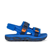 BLUE/NAVY